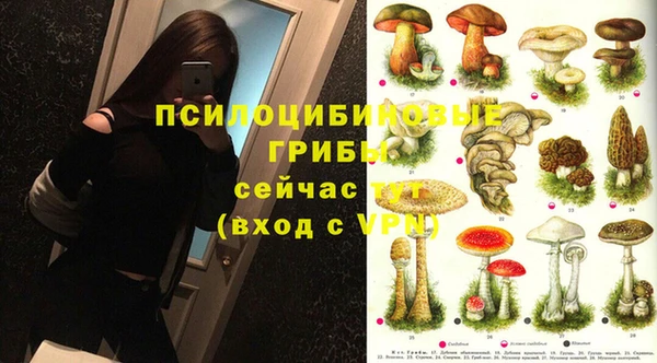крисы Абинск