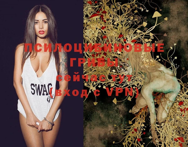 крисы Абинск